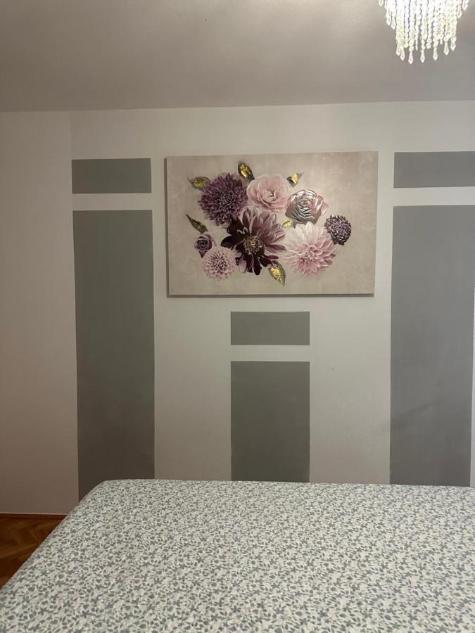 Apartma Vesna *